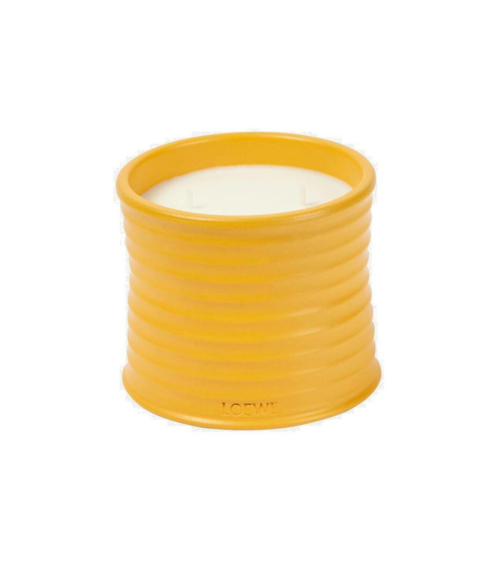 Photo: Loewe Home Scents Wasabi Medium scented candle