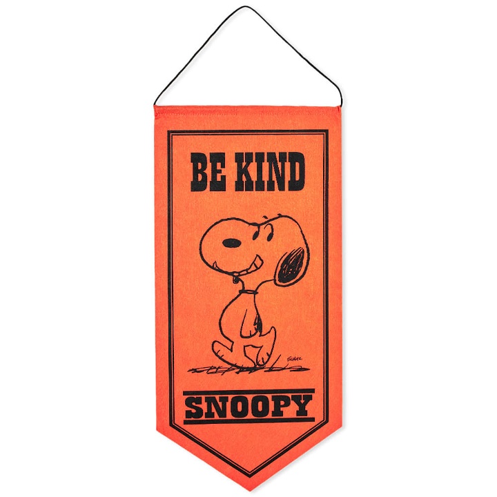 Photo: Peanuts Pennant in Be Kind