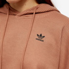 Adidas Women's 3-Stripe Cropped Hoody in Clay Strata