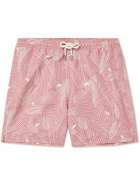 Mr P. - Straight-Leg Mid-Length Printed Recycled Swim Shorts - Pink