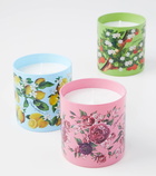 Dolce&Gabbana Casa Lemon scented candle