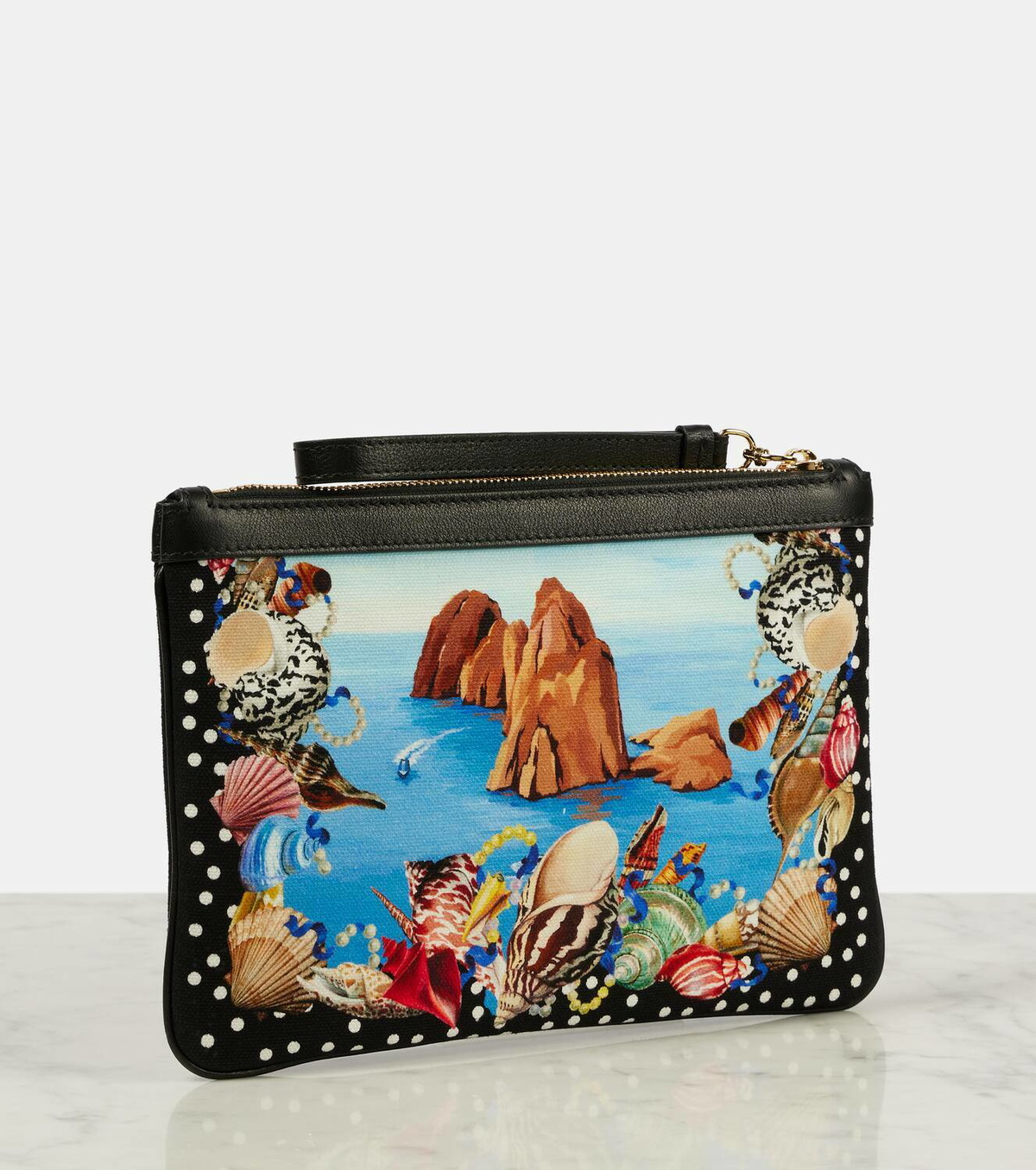 Dolce&Gabbana Capri printed leather-trimmed canvas pouch