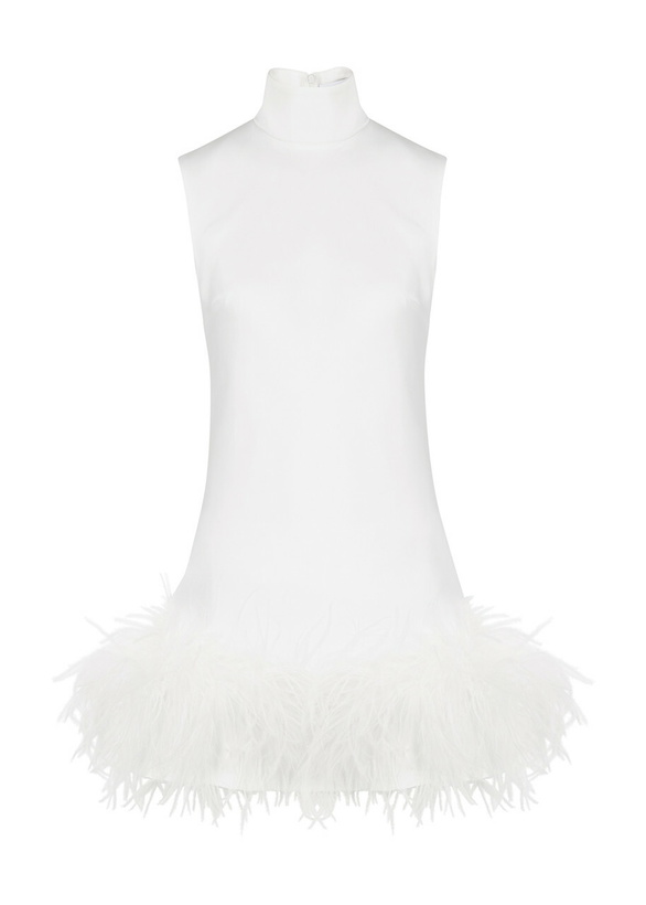 Photo: 16 Arlington Umiko Feather-trimmed Mini Dress Ivory