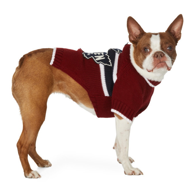 Photo: Dsquared2 Red Poldo Dog Couture Edition Quebec Sweater