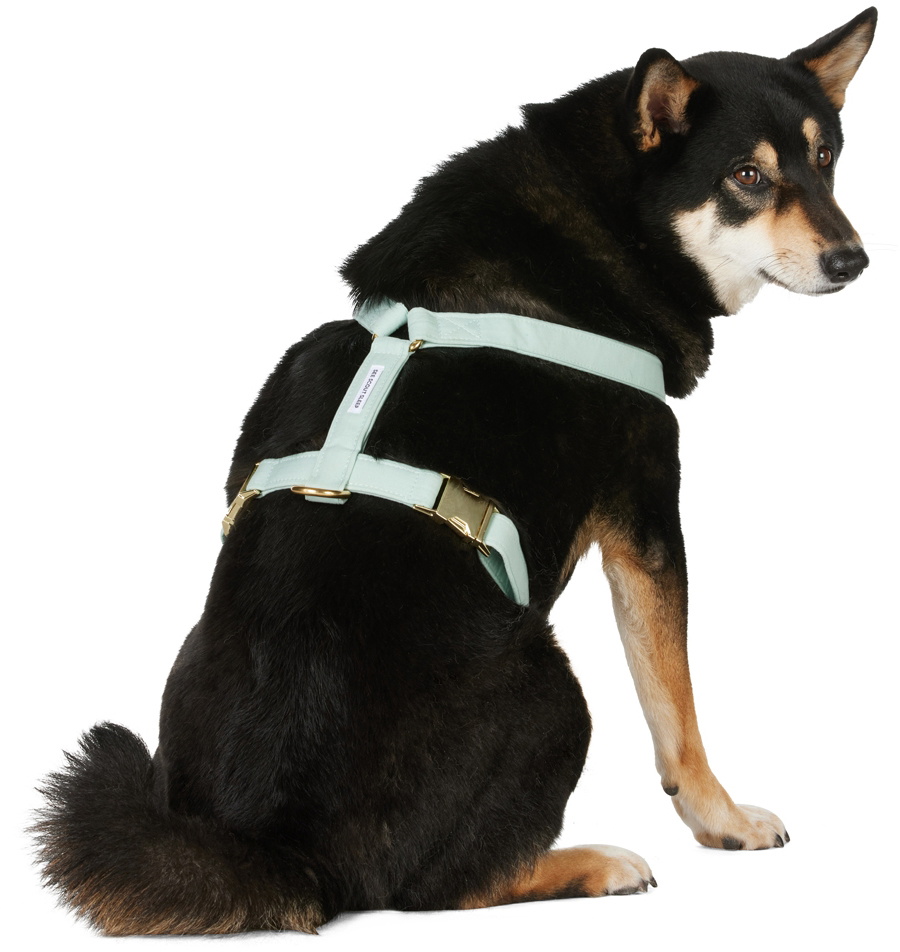 See Scout Sleep Green The Scot Medium Standard Harness