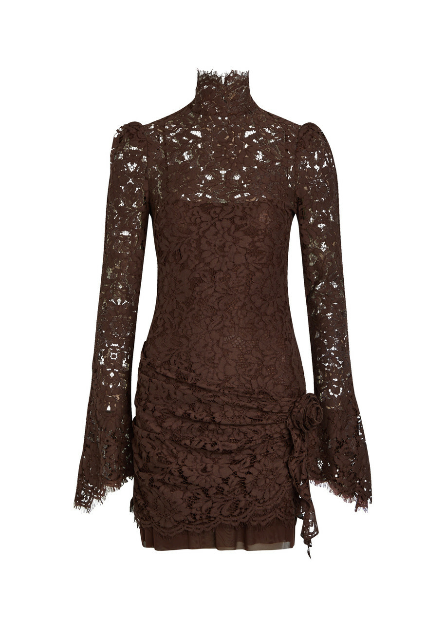 DE LA Vali Bodita Rose-appliquéd Guipure Lace Mini Dress Brown