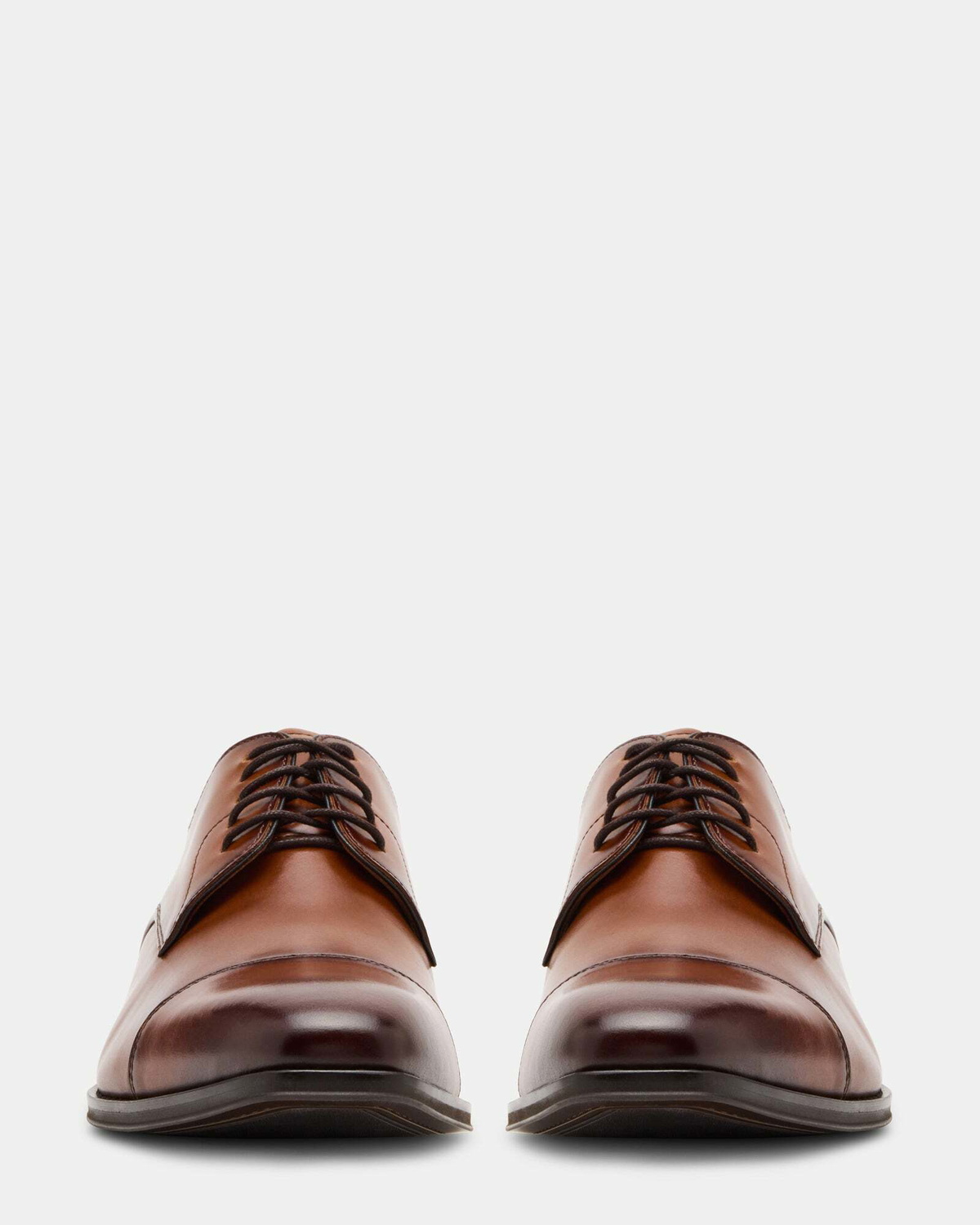 Steve Madden Planche Dress Shoes in Tan