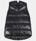 Moncler Dog coat