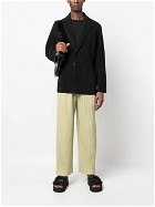 ISSEY MIYAKE - Pleated Trousers