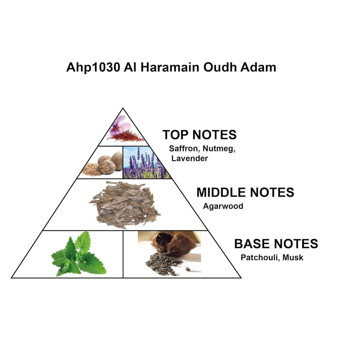 Al Haramain Mens Oudh Adam EDP 2.5 oz Fragrances 6291100130290
