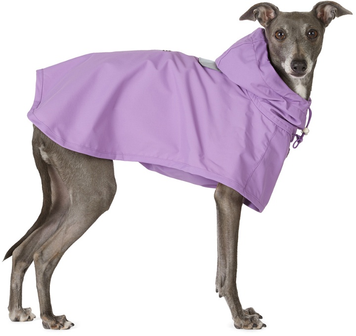 Photo: Merlot Purple Ain Dog Coat