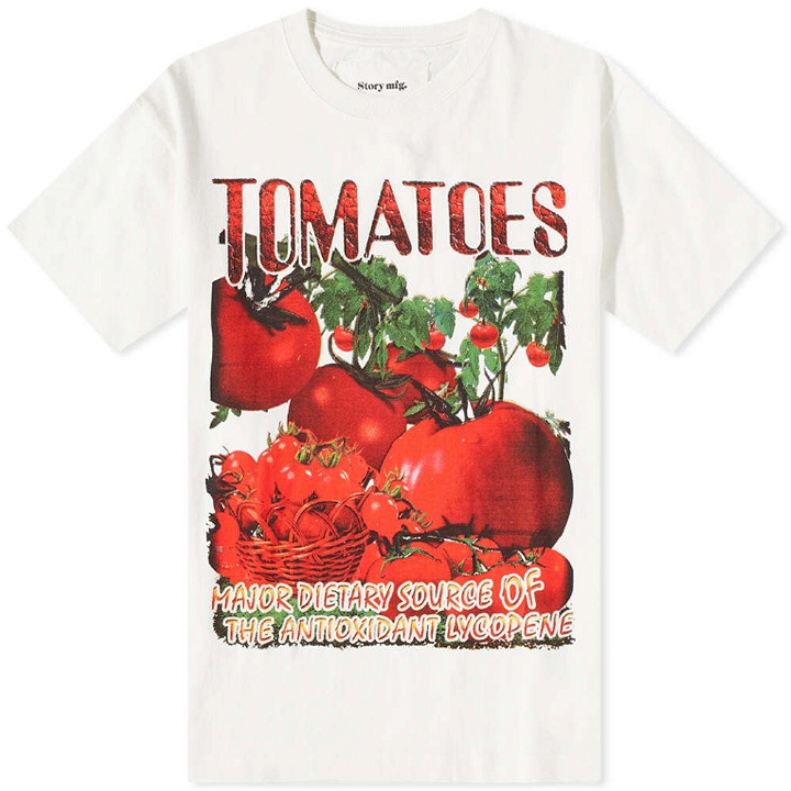 Photo: Story mfg. Men's Lover T-Shirt in Tomato