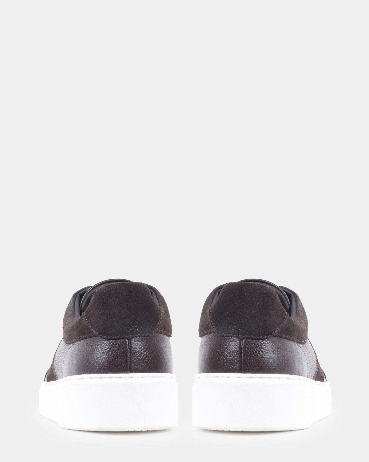 Steve Madden Addler Sneakers in Brown