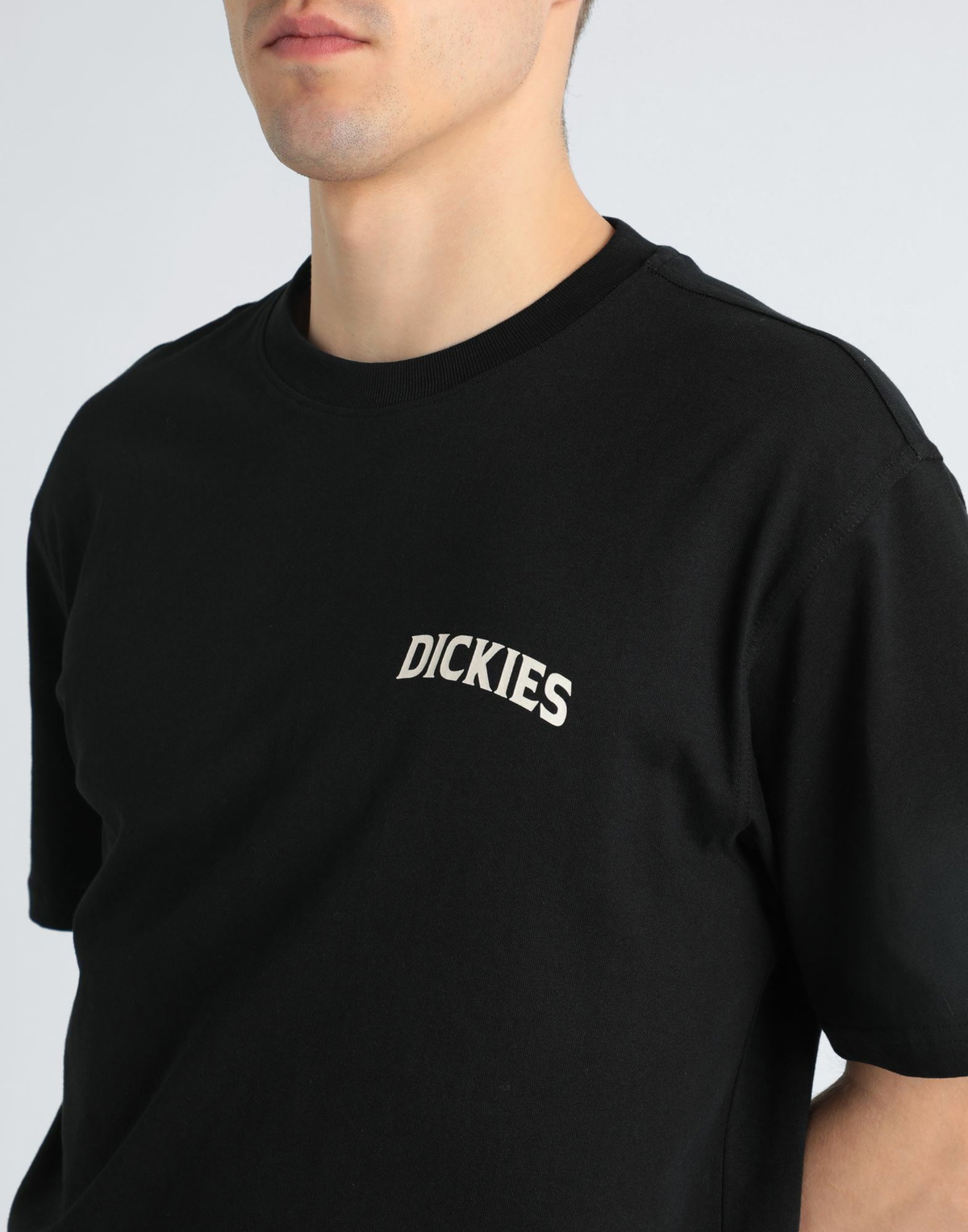 Dickies Elliston Tee Ss Mens T-shirt in Black