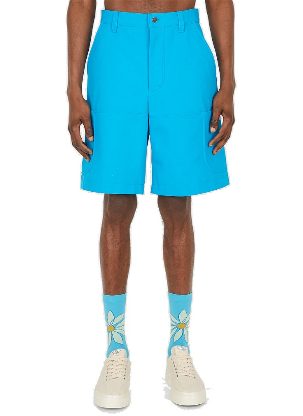 Photo: Le Giardino Bermuda Shorts in Blue