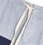 Loewe - Paula's Ibiza Colour-Block Cotton Drawstring Shorts - Blue