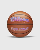 Wilson Evo Editions 2024 Autism Speaks Basketball Size 7 Brown Sports Equipment