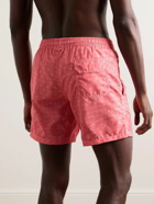 Altea - Slim-Fit Mid-Length Printed Swim Shorts - Pink