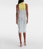 Roberta Einer Angel ombré knitted midi dress