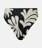 Cala de la Cruz Lulu printed high-rise bikini bottoms