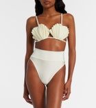 Adriana Degreas Seashell bikini