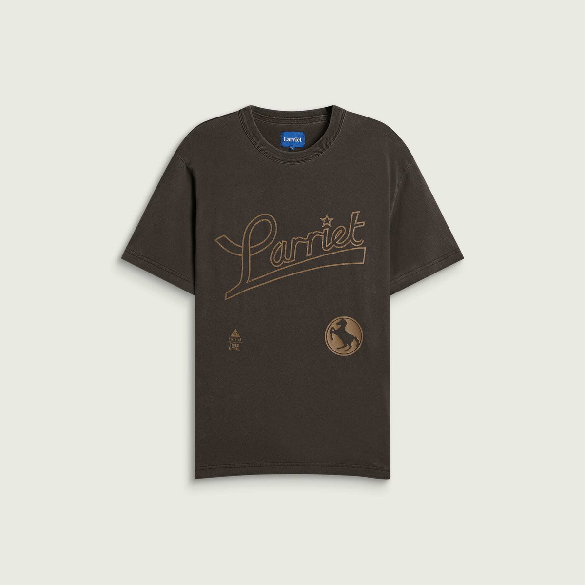 Larriet Men's Tried & True T-Shirt in Dark Brown
