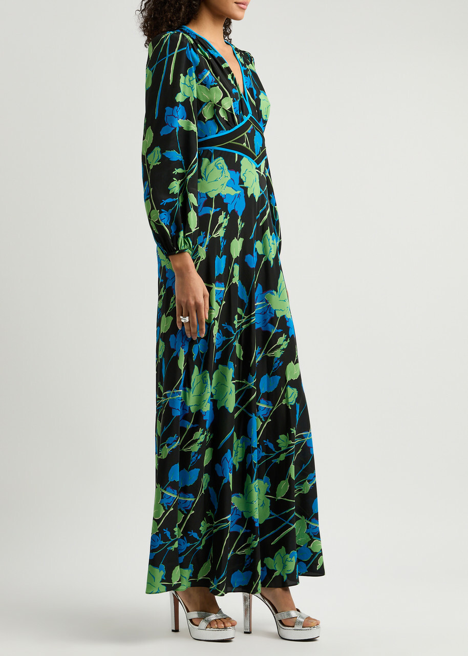 Diane Von Furstenberg Seline Floral-print Chiffon Maxi Dress Multicoloured