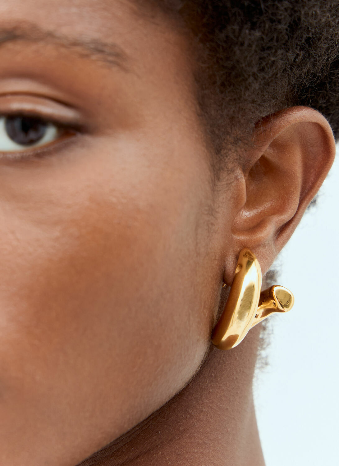 Bottega Veneta Sardine Earrings