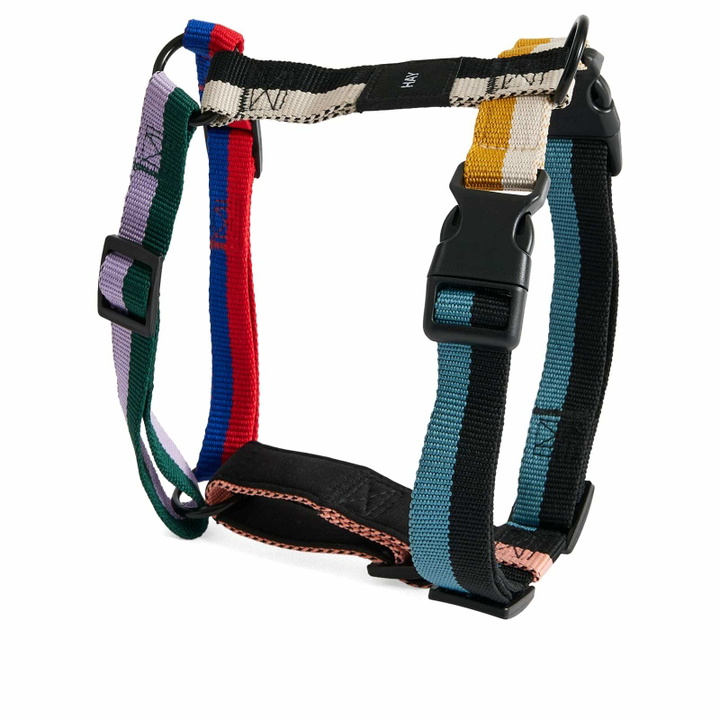 Photo: HAY Dog Harness - Medium in Multi 