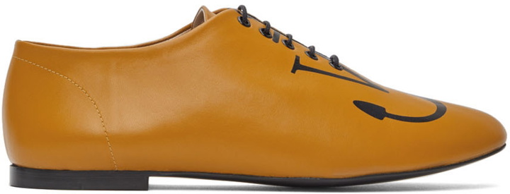 Photo: JW Anderson Brown Logo Ballerina Oxfords