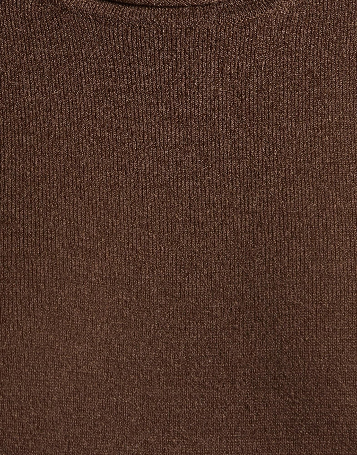 Wolford Womens Bodysuit Dark in Brown