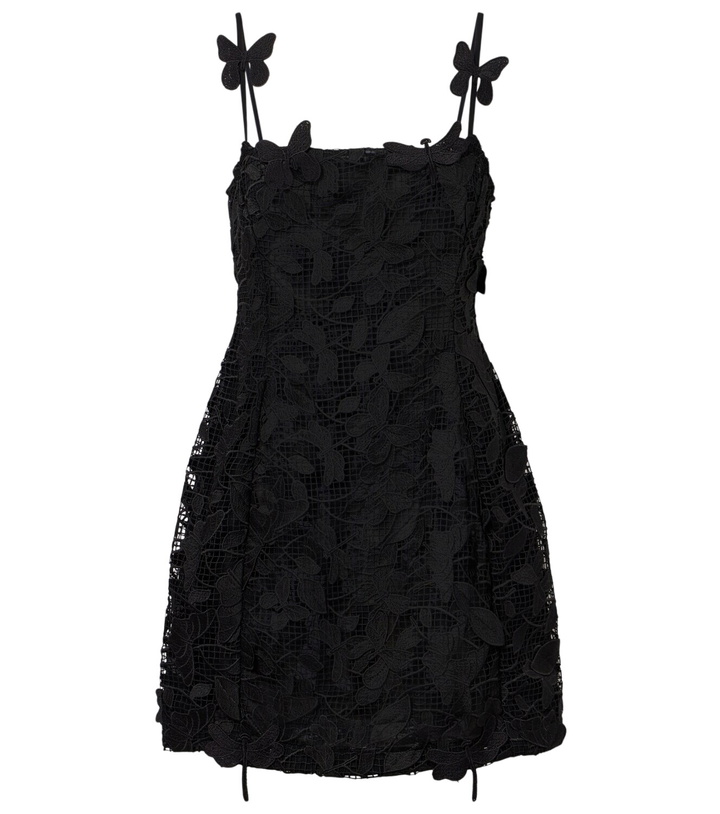 Photo: Blumarine Embroidered lace minidress
