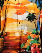 Dolce & gabbana Mens Shirt in Black