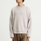 Bram's Fruit Men's Garden Hose Crewneck Knit in Grey Melange