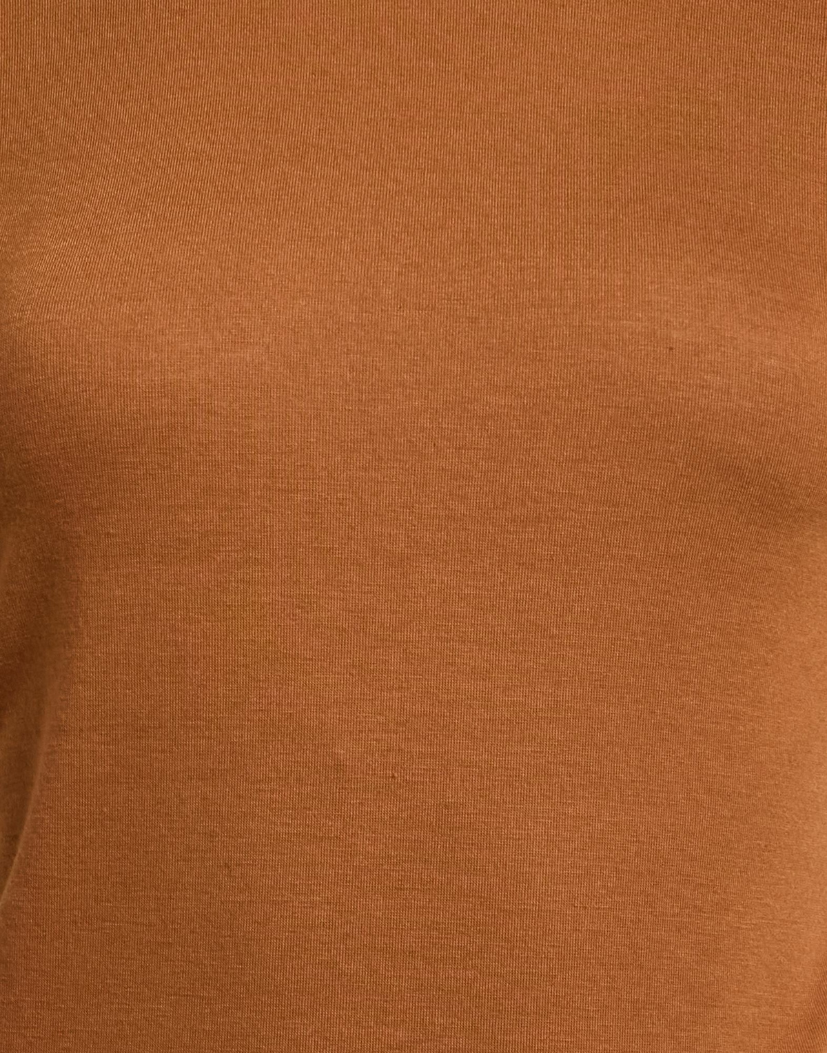 Jijil Womens T-shirt in Brown