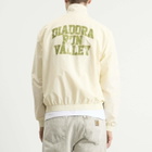Diadora Men's Run Valley Track Jacket in Winter White