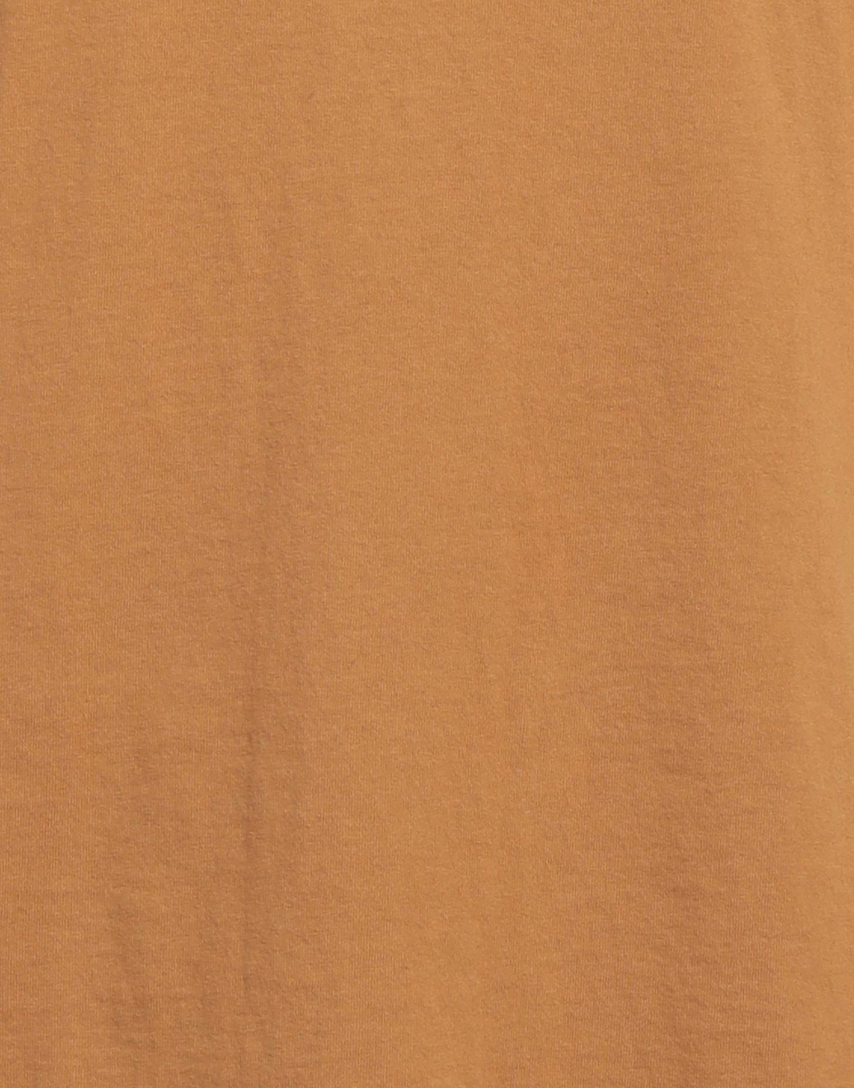 Aries Mens T-shirt in Camel