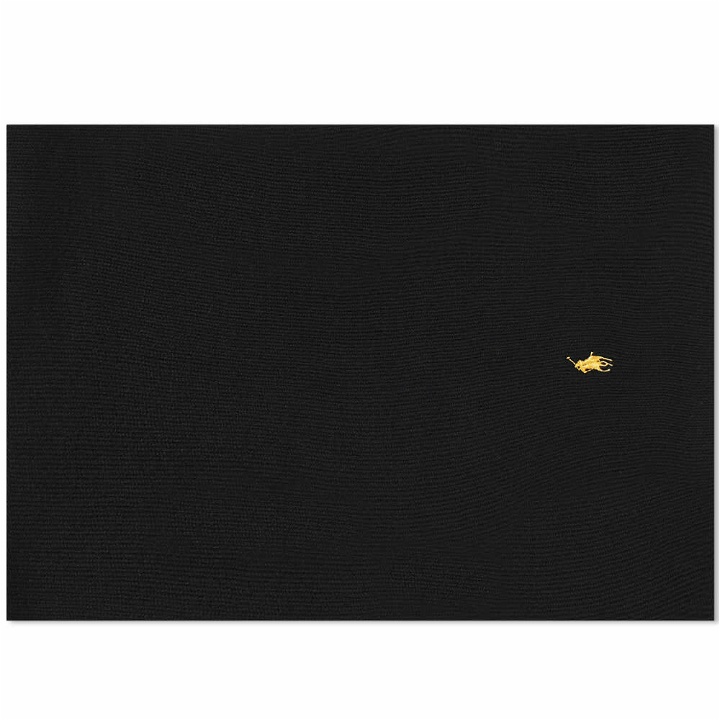 Photo: Polo Ralph Lauren Men's Pony Player Scarf in Polo Black/Gold