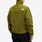 The North Face Women's Ripstop Denali Fleece Jacket in Forest Olive