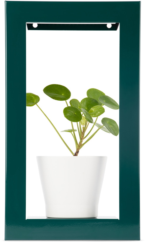 Photo: Modern Sprout Green Portrait Growframe Planter