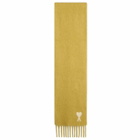 AMI Paris Men's Hairy Alpaca Wool Scarf in Anis 