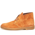 Clarks Men's Desert Boot in Ginger Hairy Suede