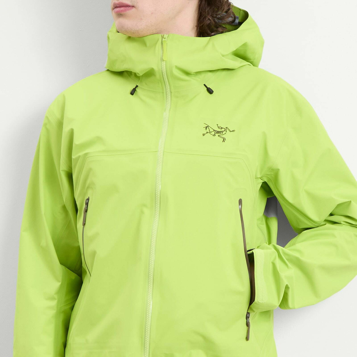 Arc'teryx Men's Beta SL Gore-Tex Jacket in Mantis/Tatsu Arc'teryx