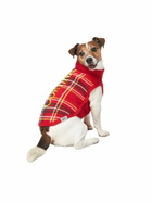 MC2 Saint Barth Dog Sweater With Tartan Print