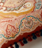Etro Pegaso paisley cotton cushion