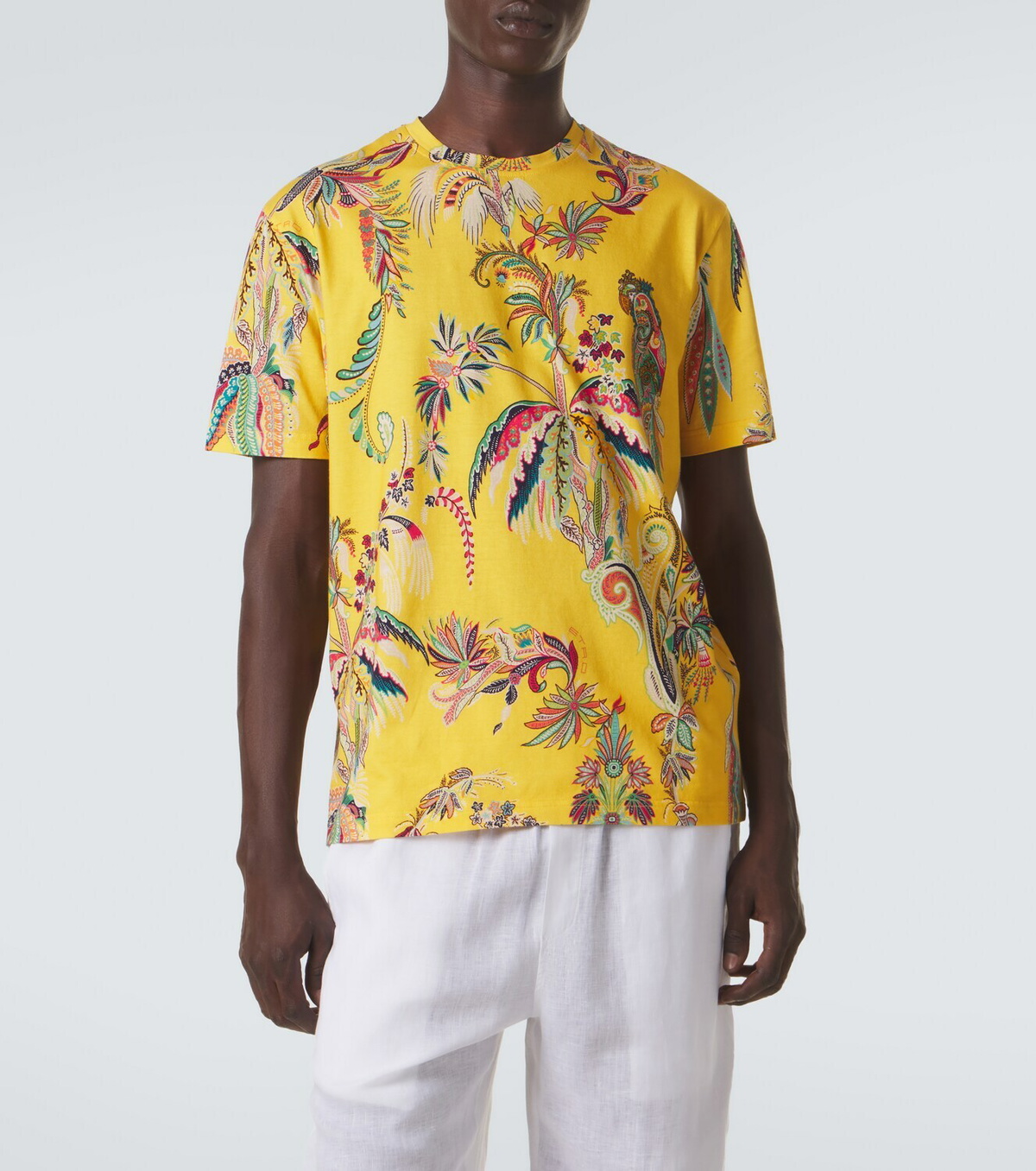 Etro Printed cotton jersey T-shirt
