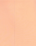 Jijil Womens Mini skirt Apricot
