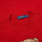 Polo Ralph Lauren Smart Bear Intarsia Knit