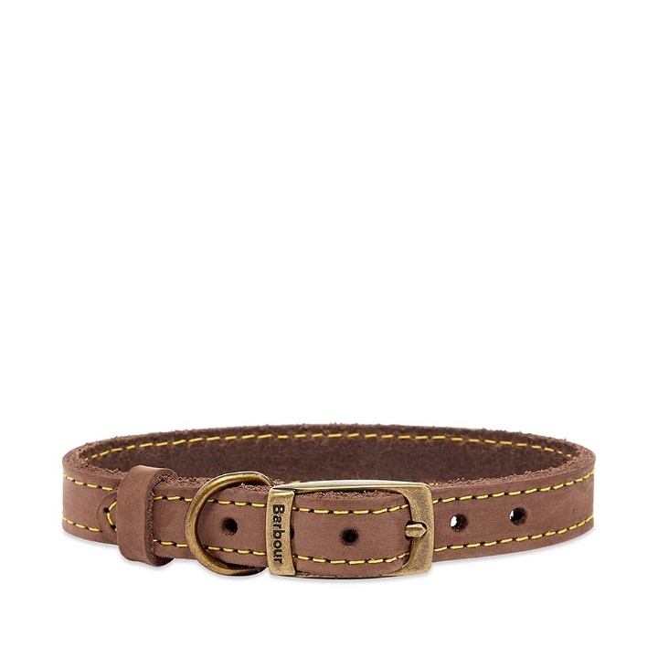 Photo: Barbour Men's Leather Dog Collar in Brown