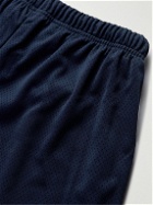 Gallery Dept. - Venice Straight-Leg Striped Logo-Print Mesh Shorts - Blue